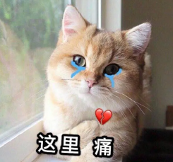 1686742276768507.png 图片 6.png